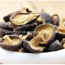 Vacuum Fried Shiitake Whole for All Age People